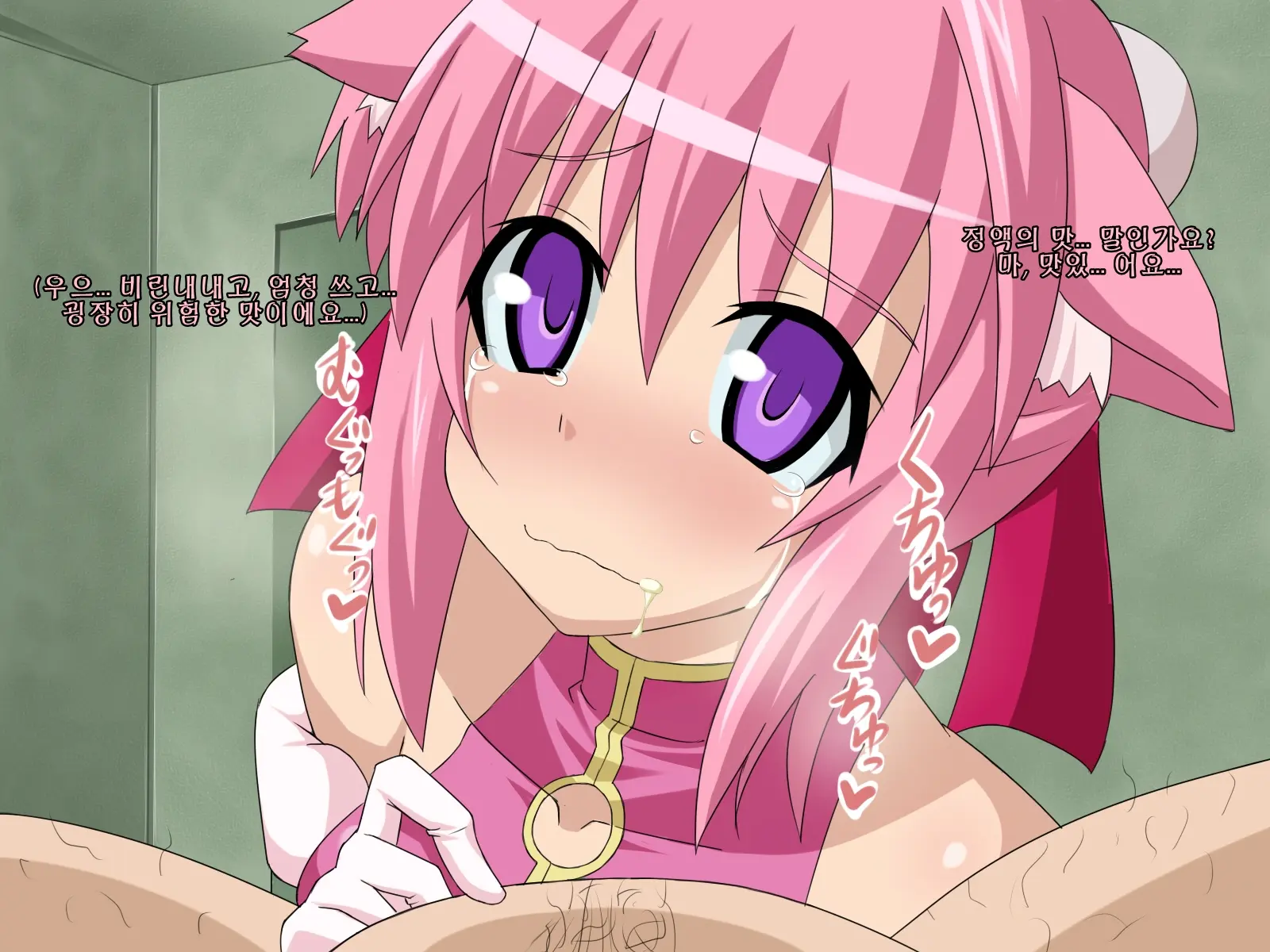 Kininatteita Onnanoko Ga, Itsunomanika Kimobuta Otoko No Chinpo Ana Ni Tsukuri Kaerareteita... ~PET DAYS~